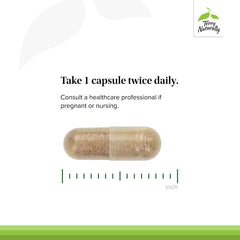 Milk thistle component highlighting liver health support