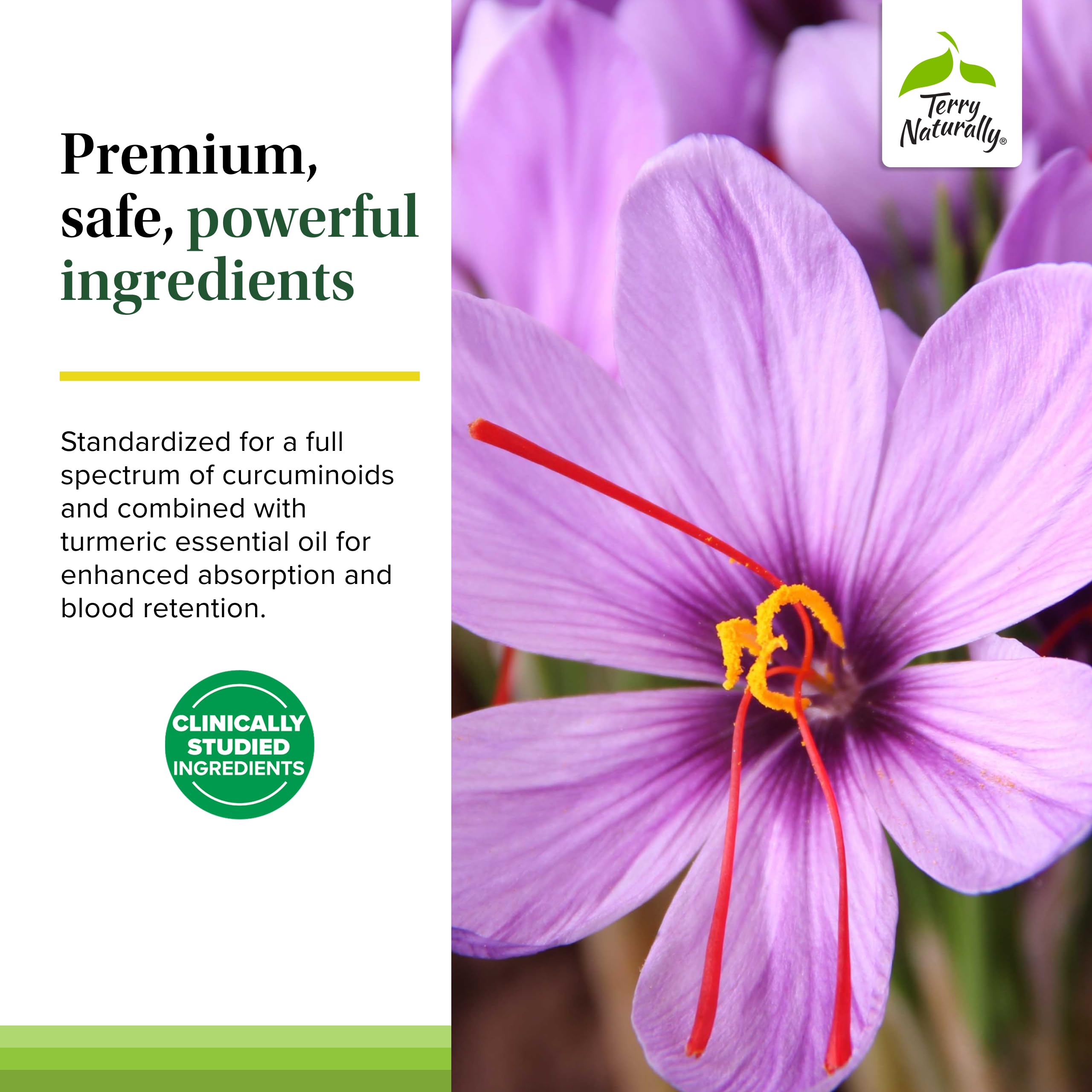 Turmeric essential oil included for absorption in Terry Naturally supplement