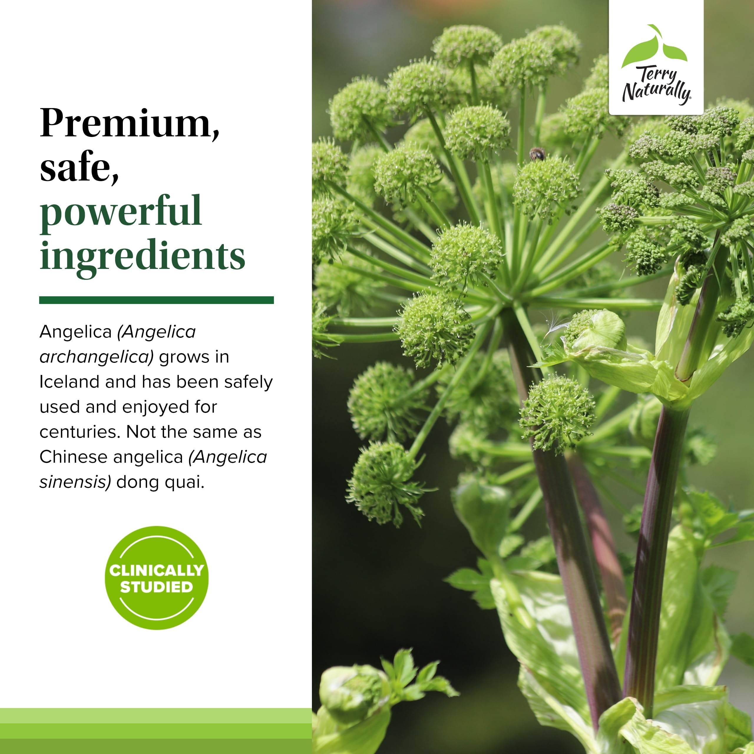 Terry Naturally SagePro Bladder packaging beside a healthy daily routine.