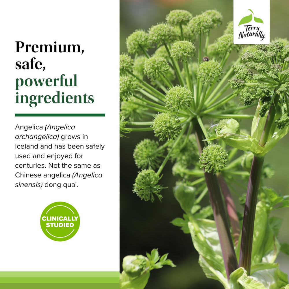 SagePro Bladder packaging box communicates vegan capsule benefits