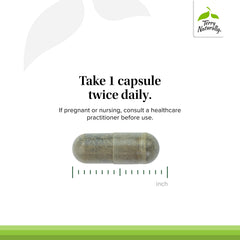 Terry Naturally sinus health visual emphasizing mucus management.