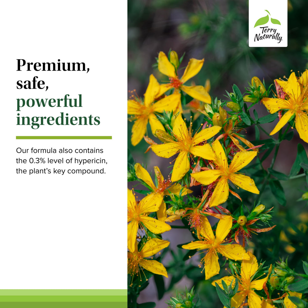 Terry Naturally St John's Wort packaging shows once-daily dosing