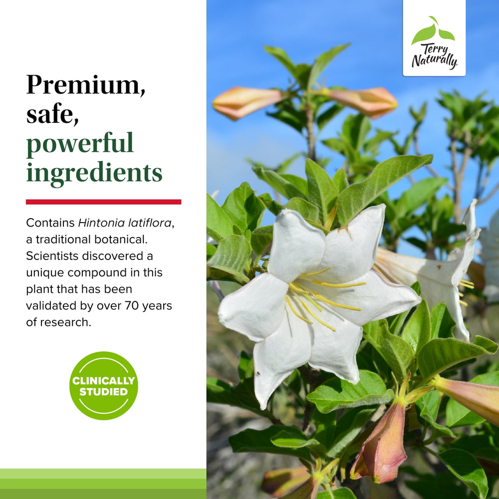 Terry Naturally Sucontral D dose-1-capsule shows simple twice-daily regimen