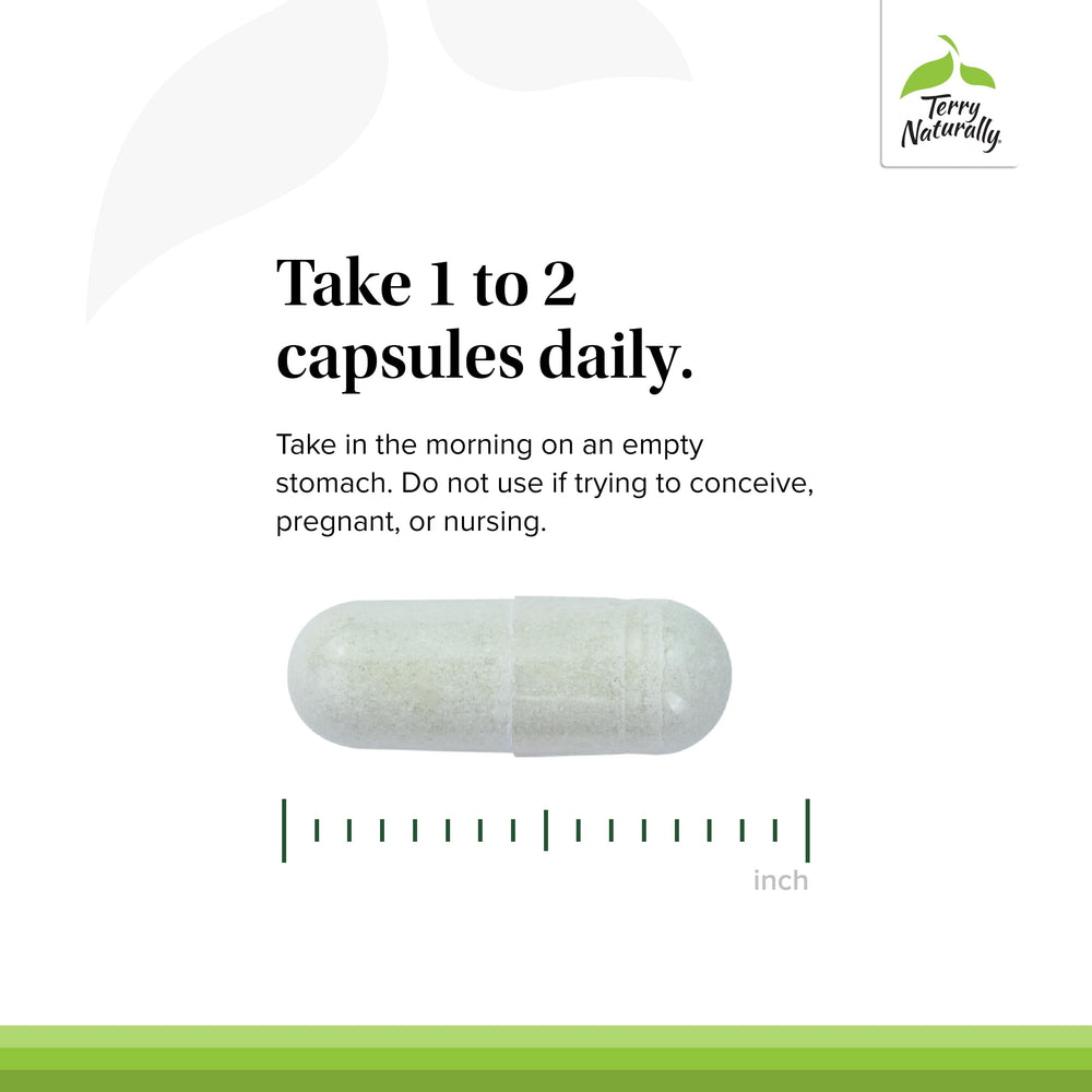 Terry Naturally Thyroid Care Plus L-tyrosine capsule, potential energy support.