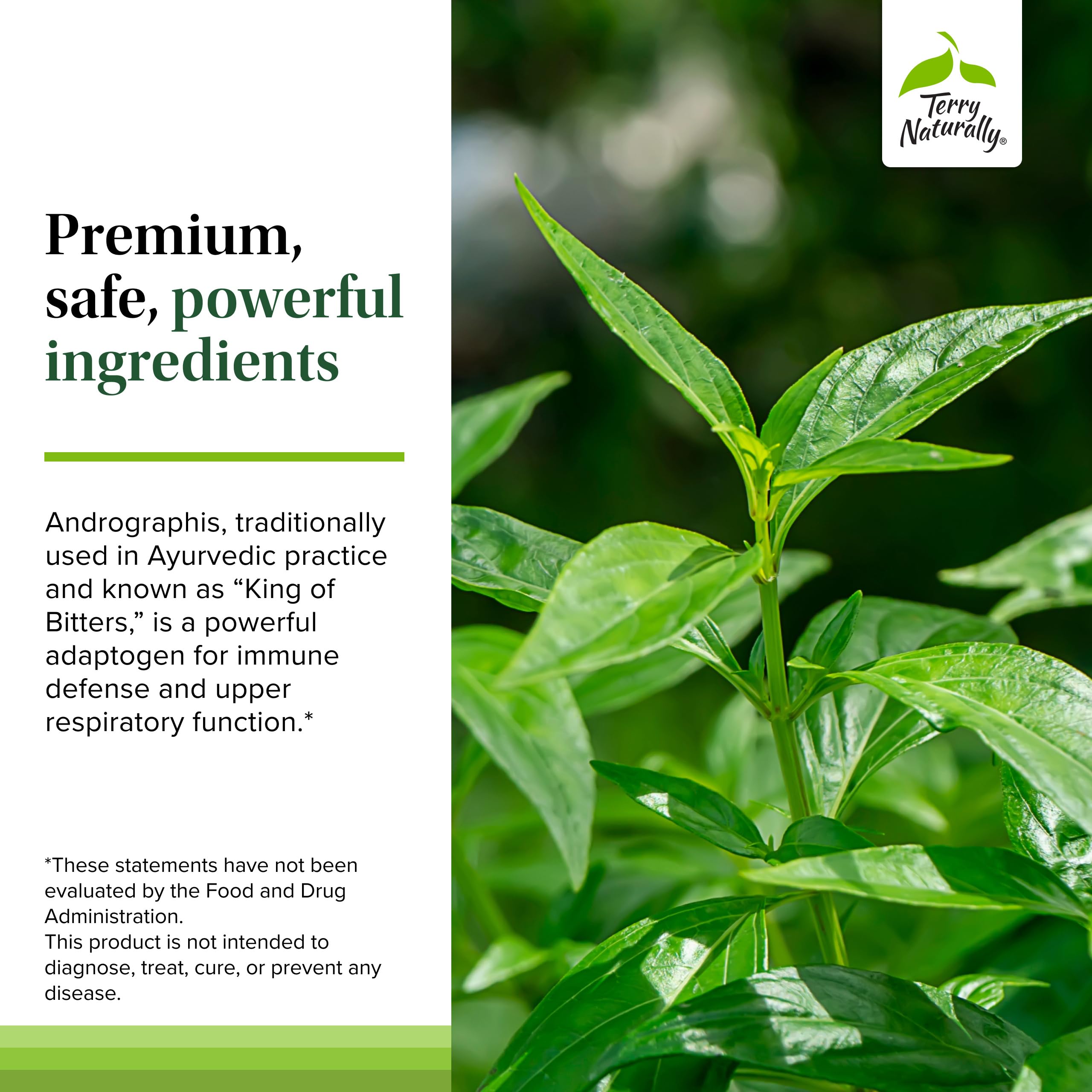 Terry Naturally vegan capsules shown for immune support.