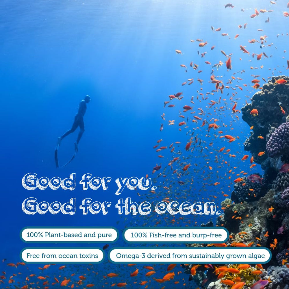 Testa Omega-3 daily-use capsules in a routine setup