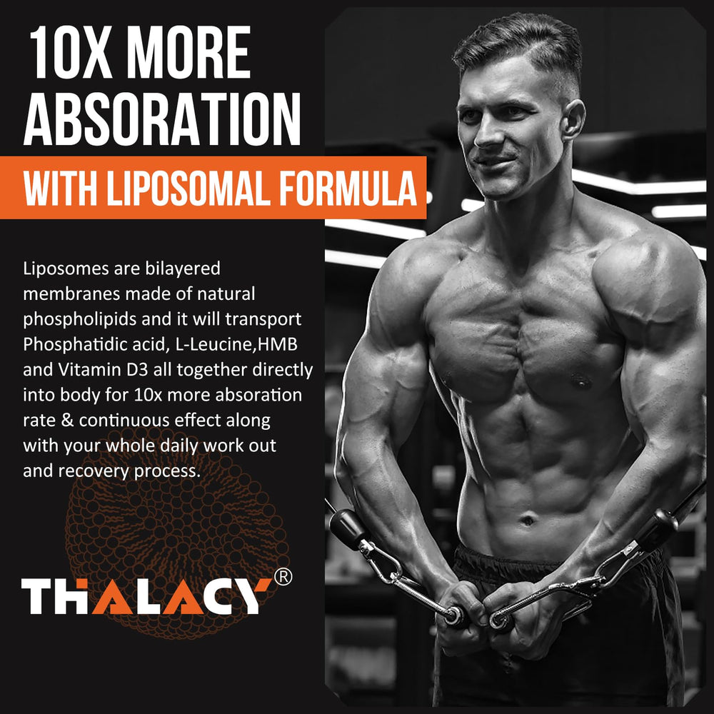 Thalacy 4-pack packaging display for complete supplementation routine.