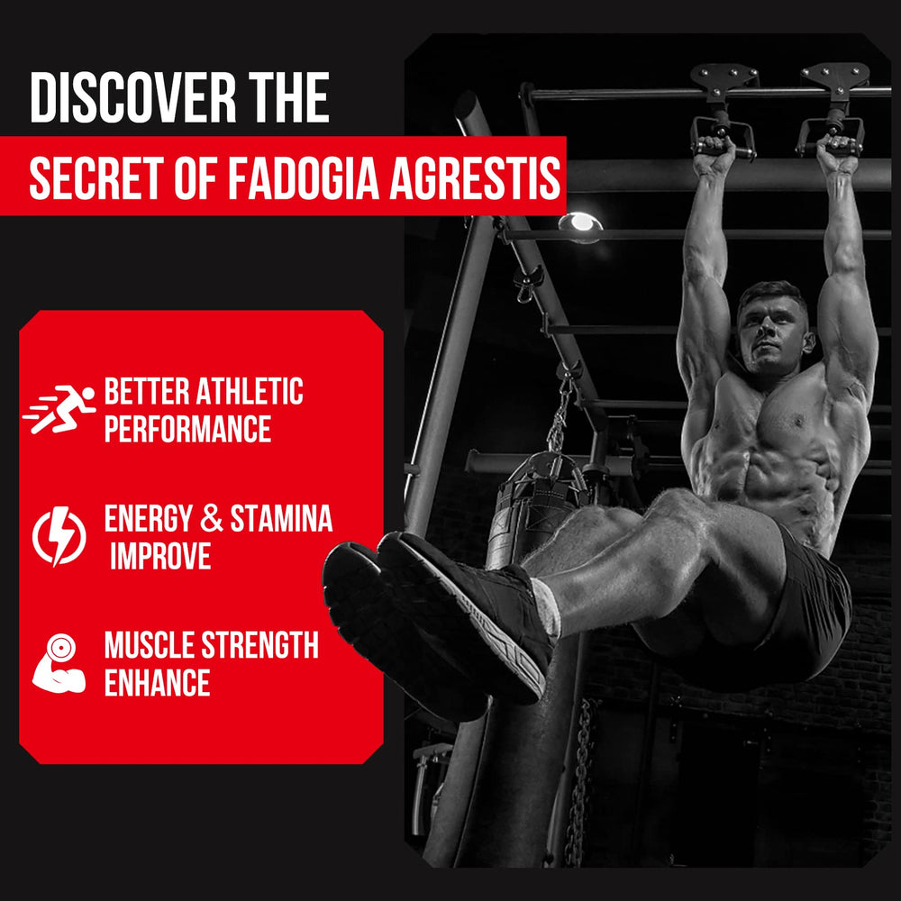Thalacy workout-ready blend designed to integrate into everyday fitness routines.