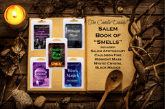 The Candle Daddy Salem Apothecary Herbal Potion melt for fresh herbal room scent