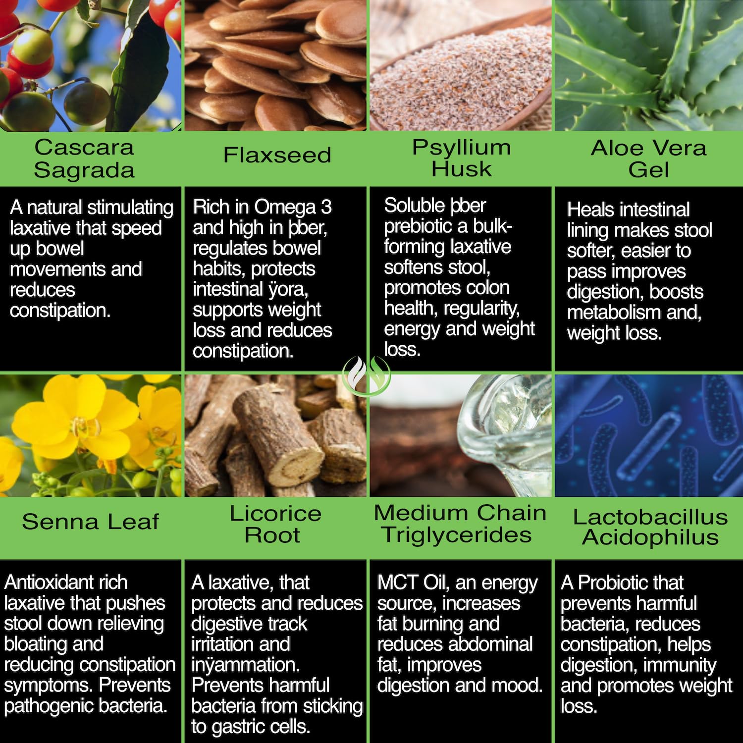 Probiotic Lactobacillus blend in The Enclare capsule for gut balance