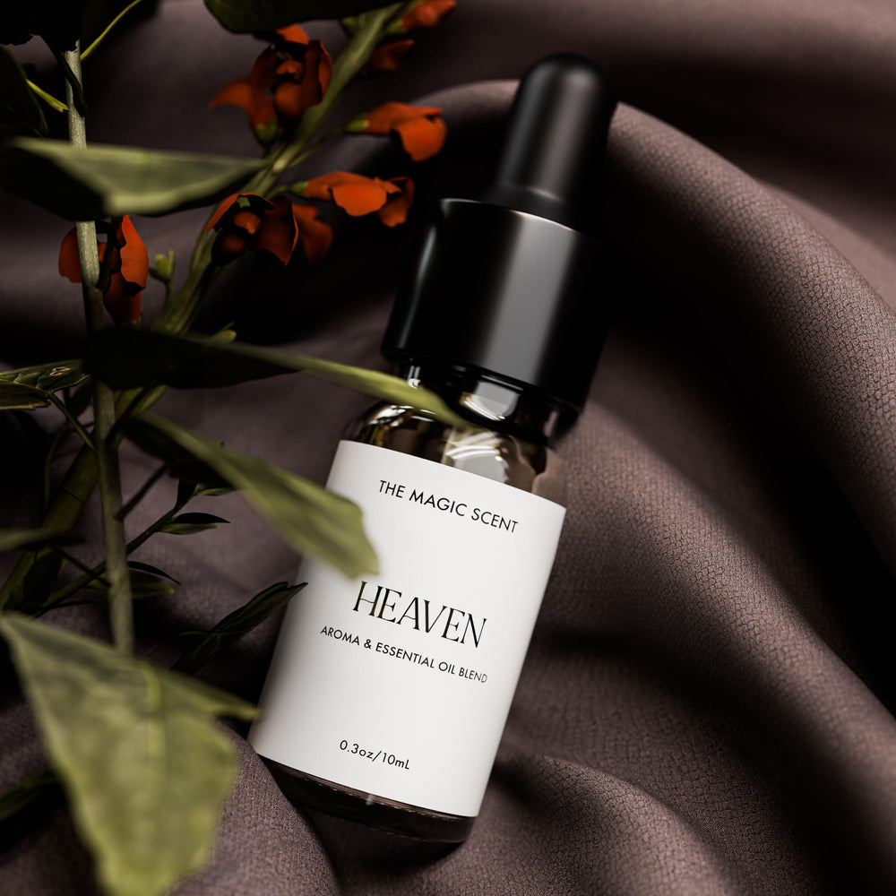 The Magic Scent Heaven notes graphic highlights bergamot and citrus with warm base notes.