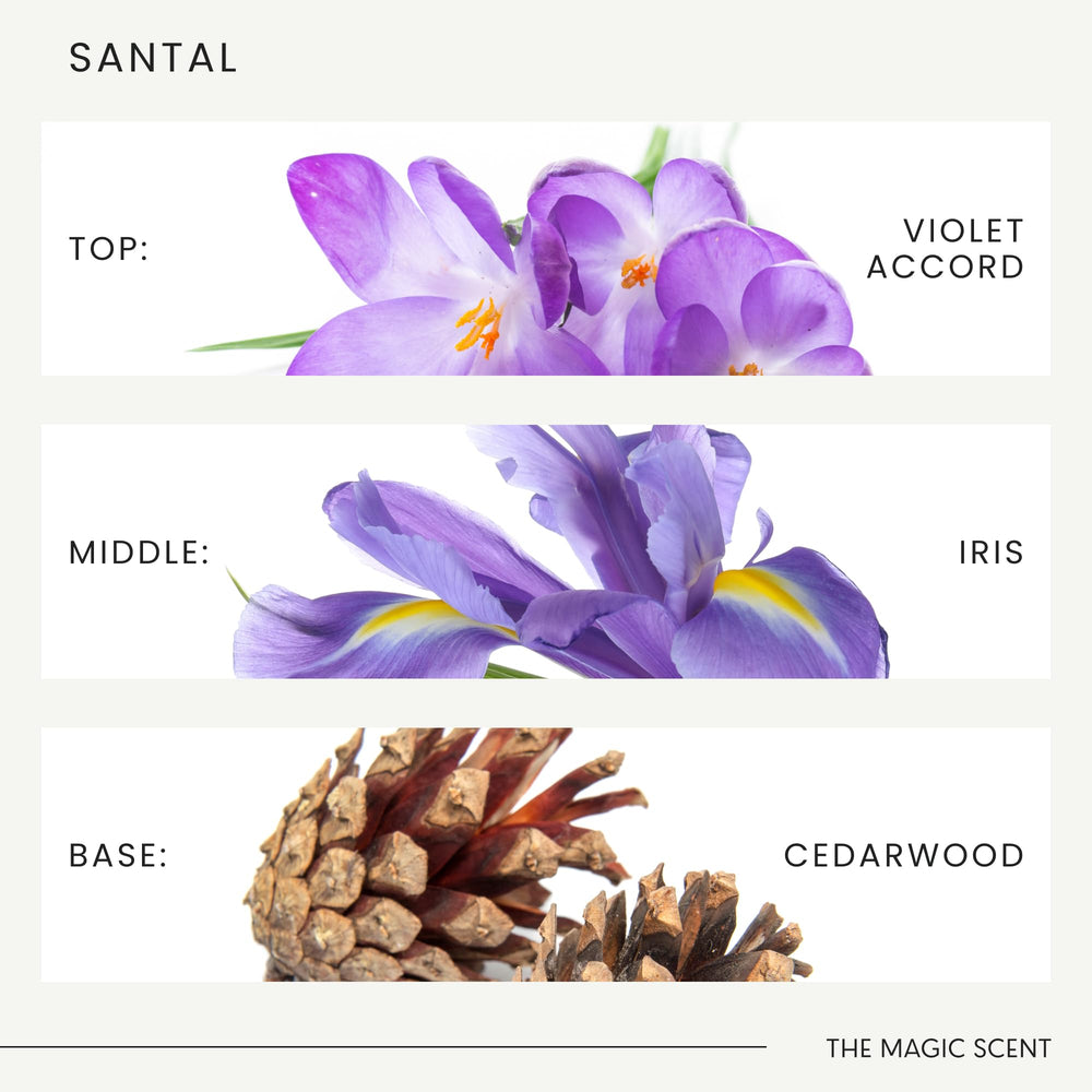 The Magic Scent Santal notes graphic hints at top, middle, base layers.