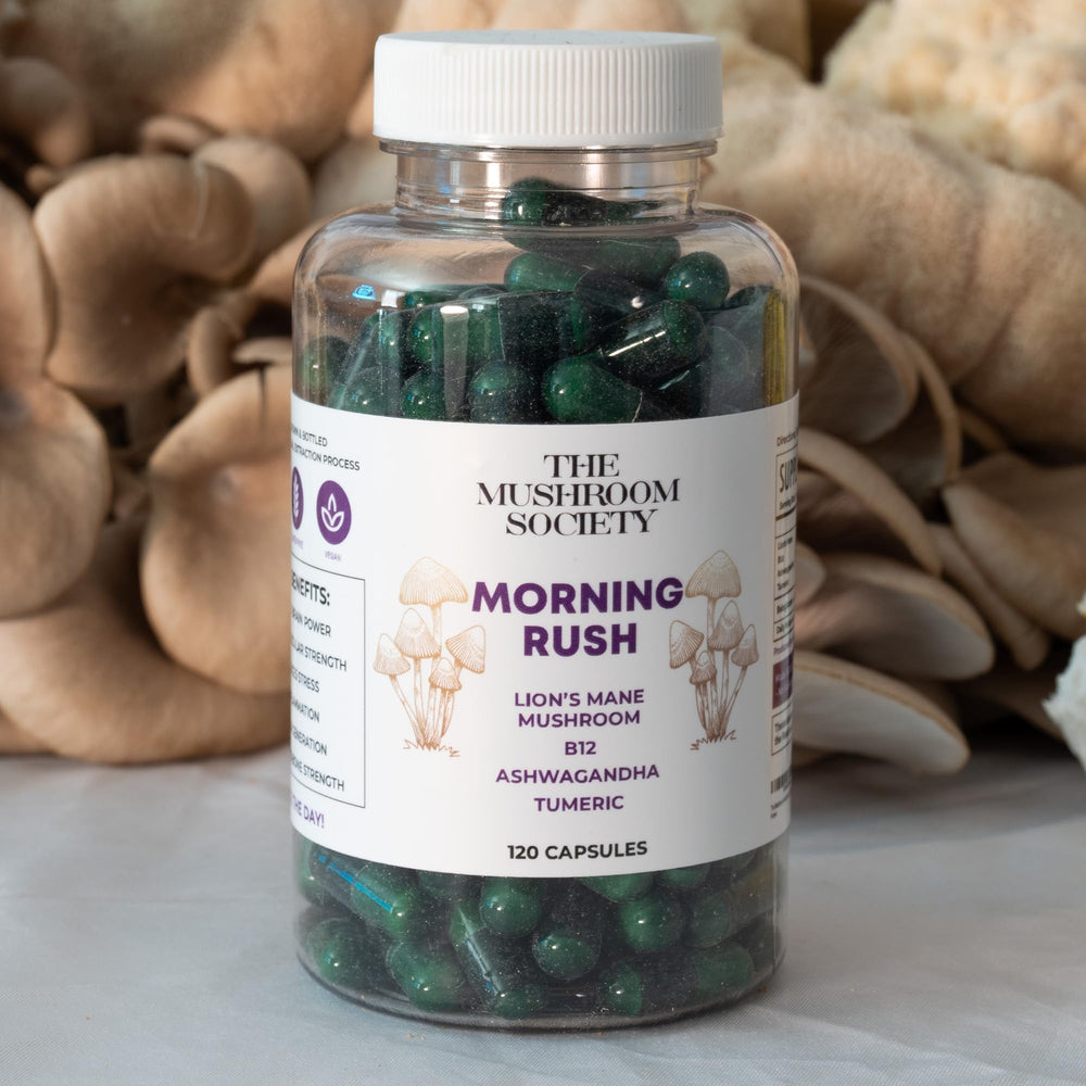 Morning Rush ingredients close-up features Lion's Mane, Ashwagandha, turmeric, and B12