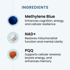 The Wellness Company Recharge infographic highlights Methylene Blue, NAD+, and PQQ synergy.