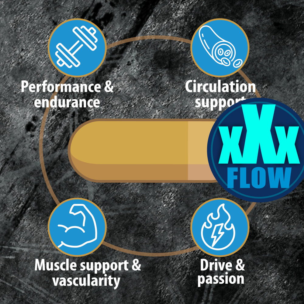 THELABSMENCO blood flow diagram stressing nutrient delivery during exercise