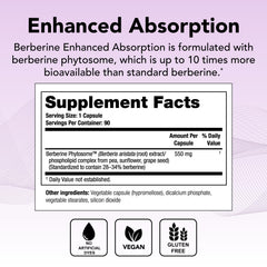 Theralogix Berberine capsules label showing dosage for gut-friendly use.