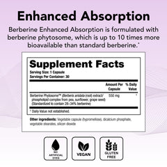 Theralogix Berberine Enhanced Absorption capsules show modern design and improved bioavailability benefits