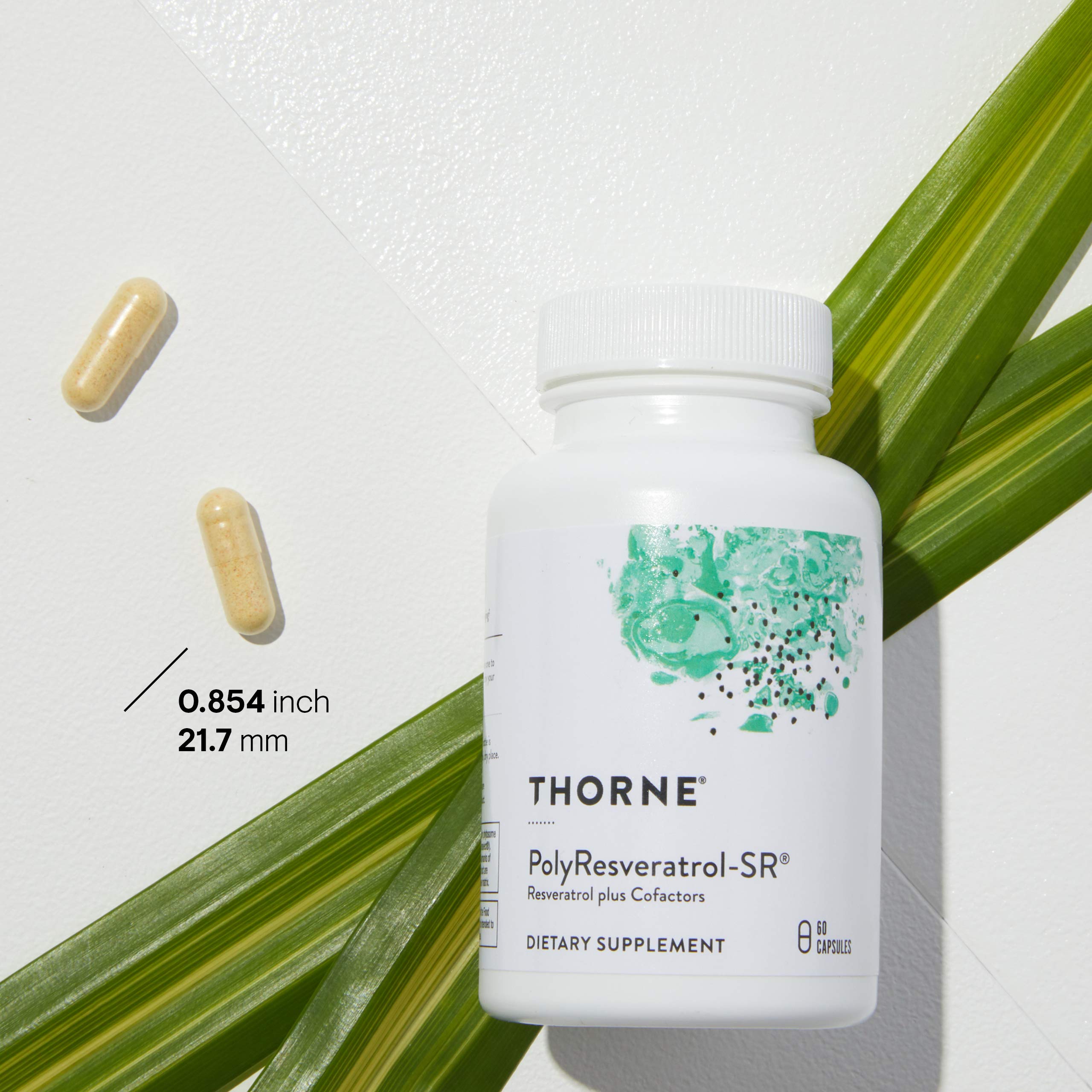 THORNE Resveratrol Complex ingredients graphic highlighting key components