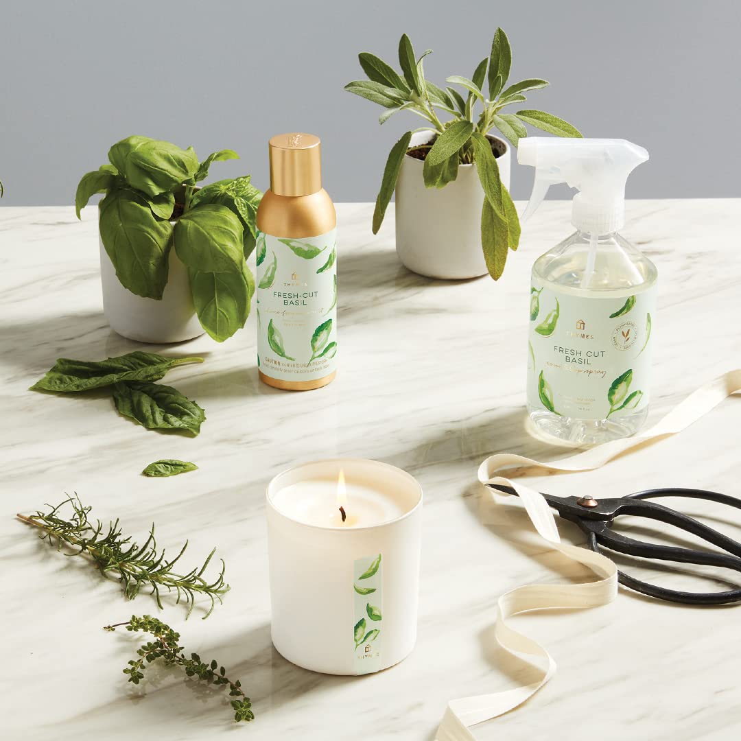 Thymes basil tomato leaf and sage aroma for fresh indoor ambiance
