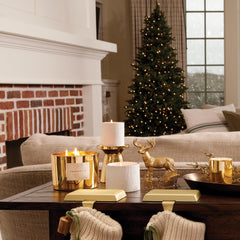 Thymes Frasier Fir candle with 24K gold rim adds luxury to decor.