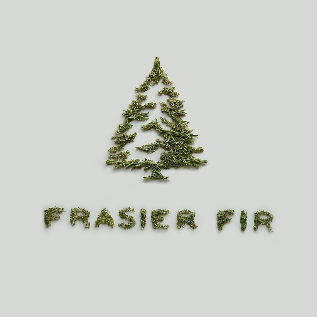 Frasier Fir candle creates inviting living room ambiance