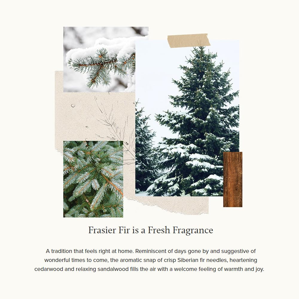 Frasier Fir mountain fragrance fills a room with fir and cedar warmth