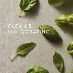 Thymes Fresh-Cut Basil notes for uplifting spaces