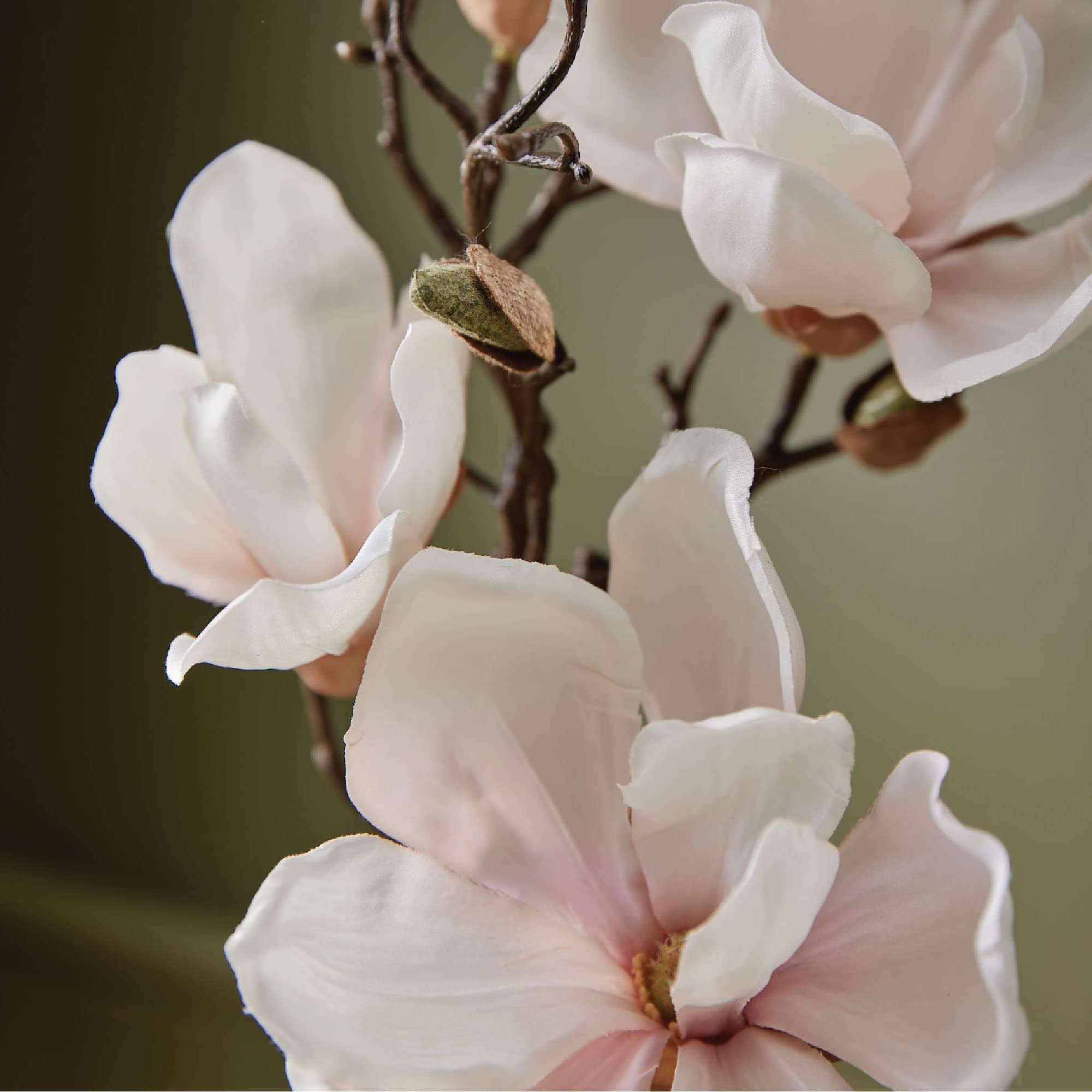 Spray action with Magnolia Willow mist creating a floral backdrop.