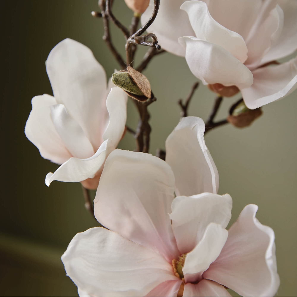 Spray action with Magnolia Willow mist creating a floral backdrop.