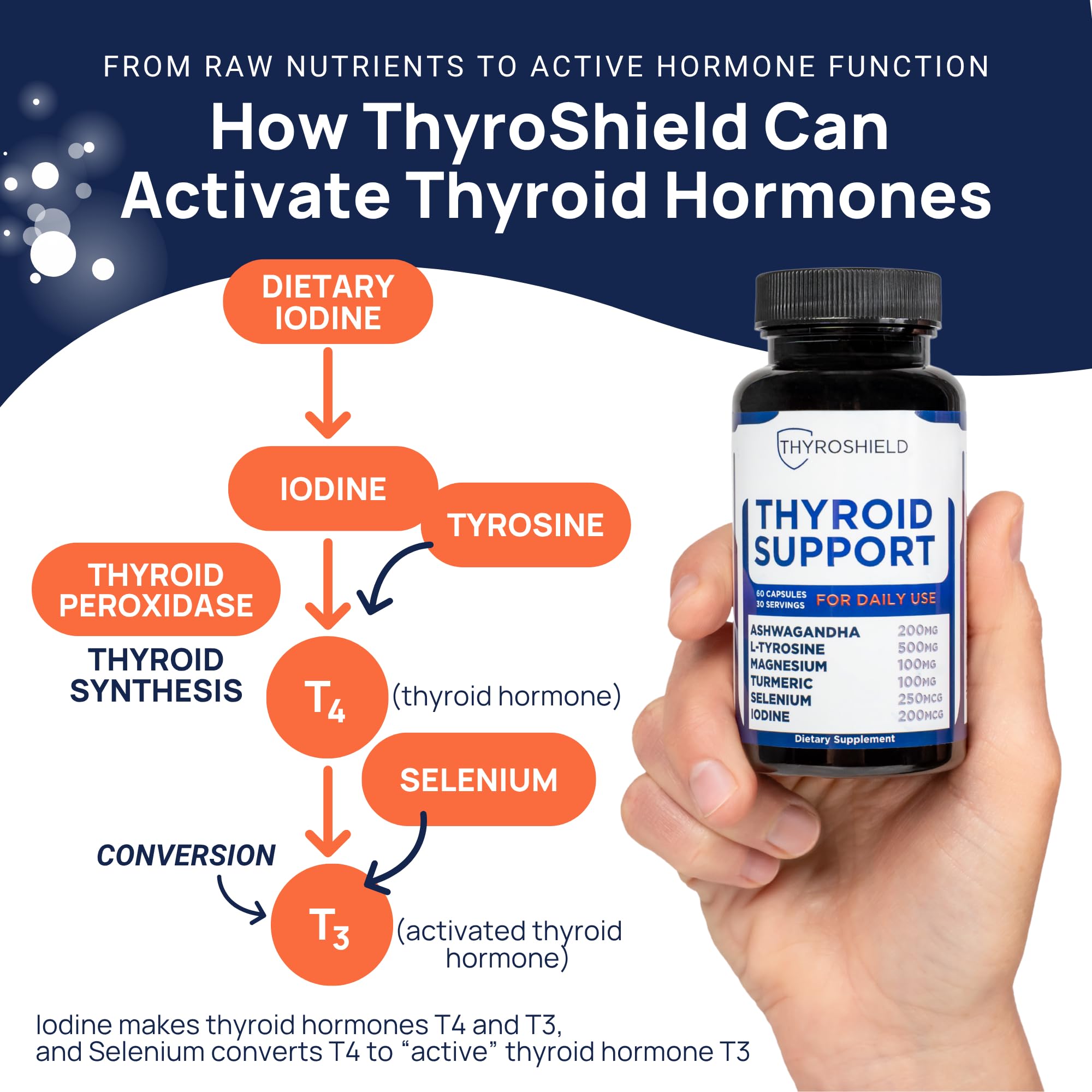 ThyroShield L-Tyrosine capsule supports mental clarity and focus.