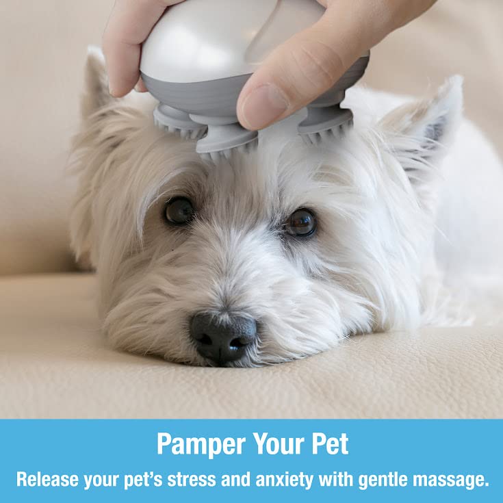 Tilcare massager with ergonomic handle for easy pet grooming sessions.