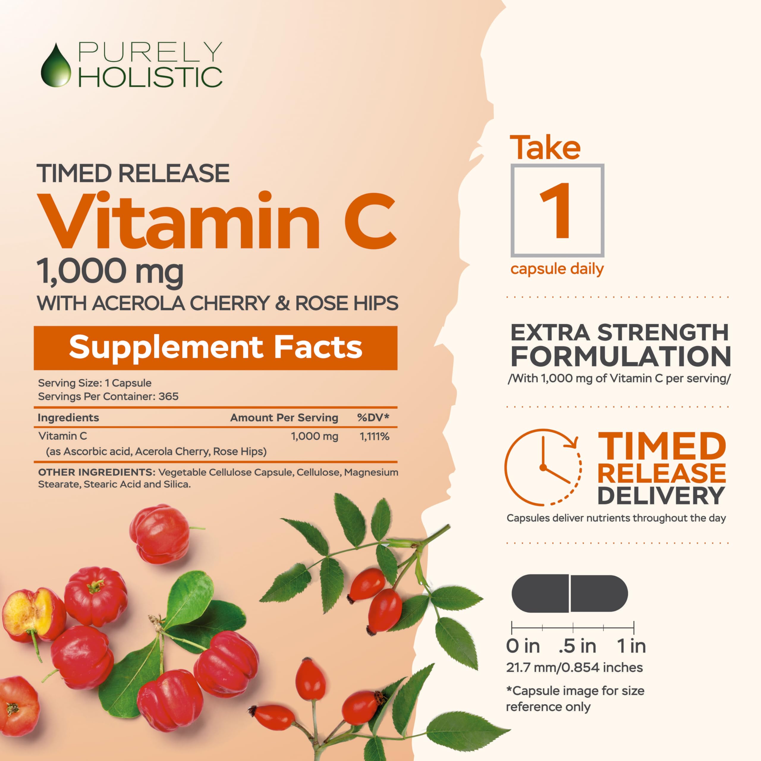 Timed release visual showing 12 hour release pattern for lasting vitamin C benefits.
