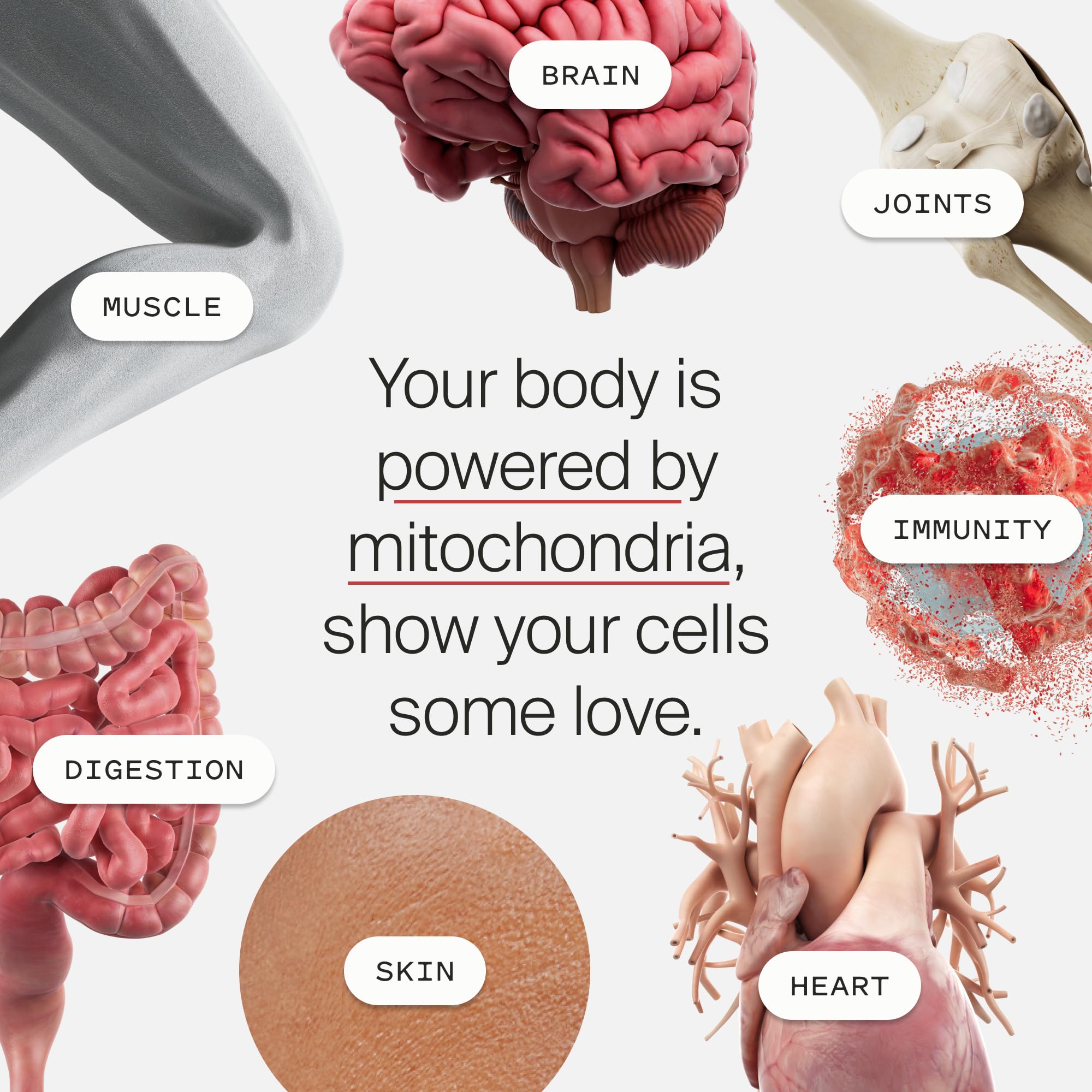 Timeline Mitopure packaging shows longevity focus for aging-friendly routines.