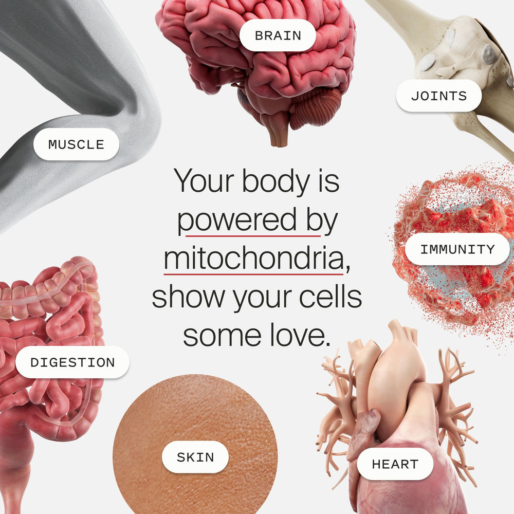 Timeline Mitopure packaging shows longevity focus for aging-friendly routines.