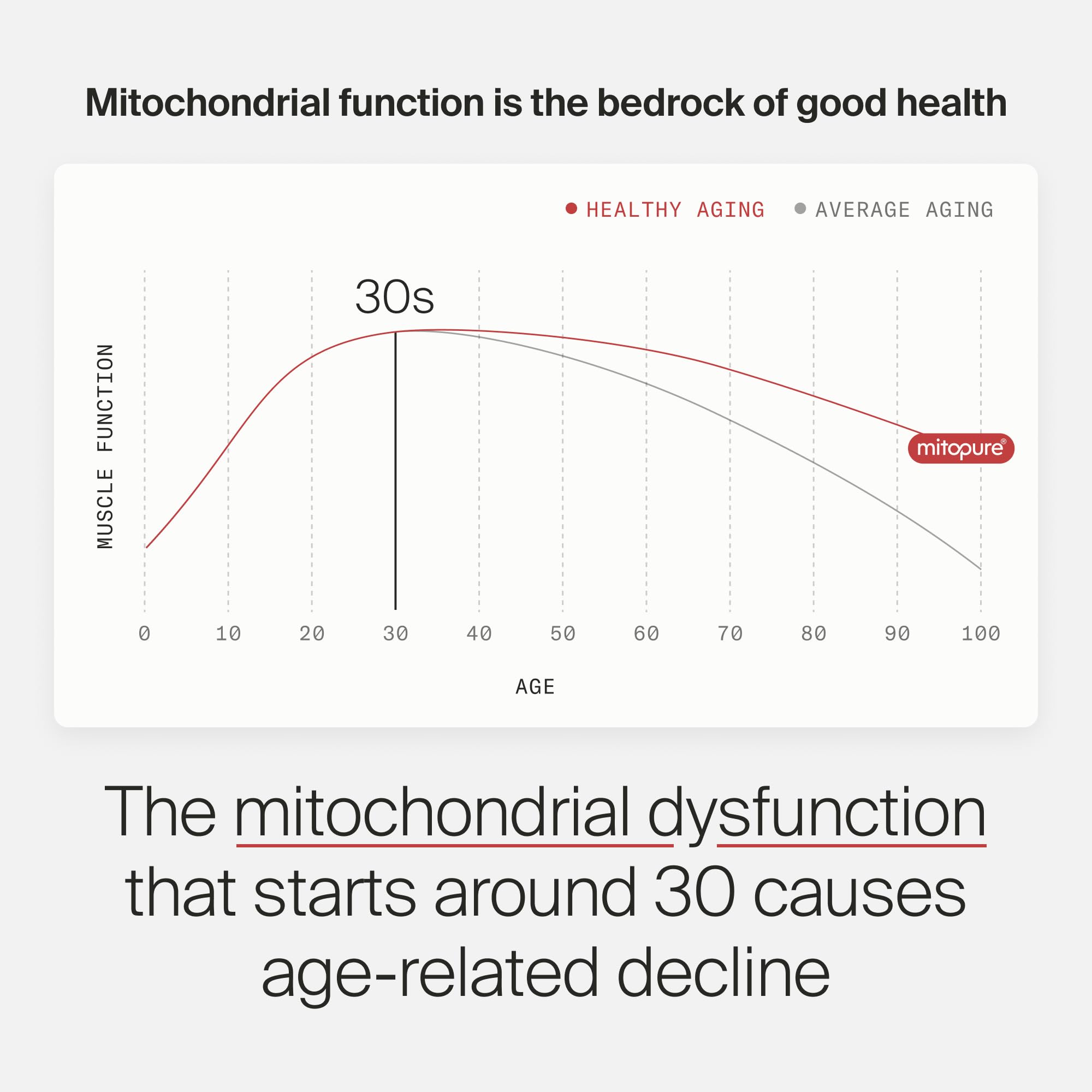 Timeline Mitopure supports muscle comfort and daily activity with consistent use.