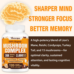 Tioewque Brain Mushroom Complex brain-focus concept shows potential cognitive support