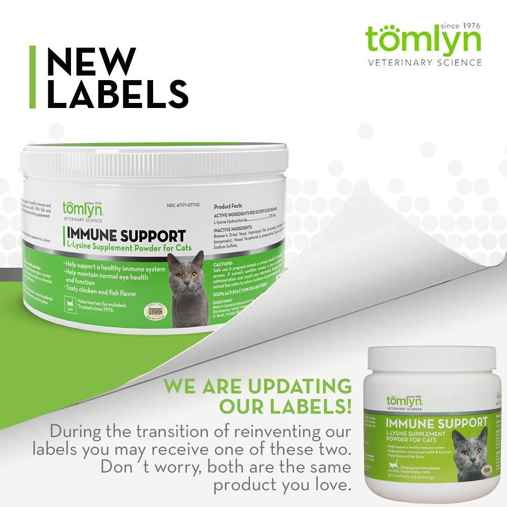 Kittens and adult cat in a daily Lysine dosing routine