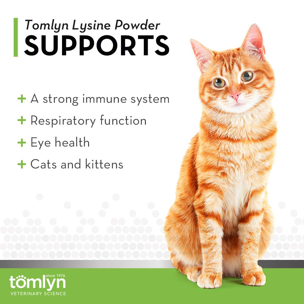 Measuring scoop dispensing Lysine powder for easy daily kitten dosing
