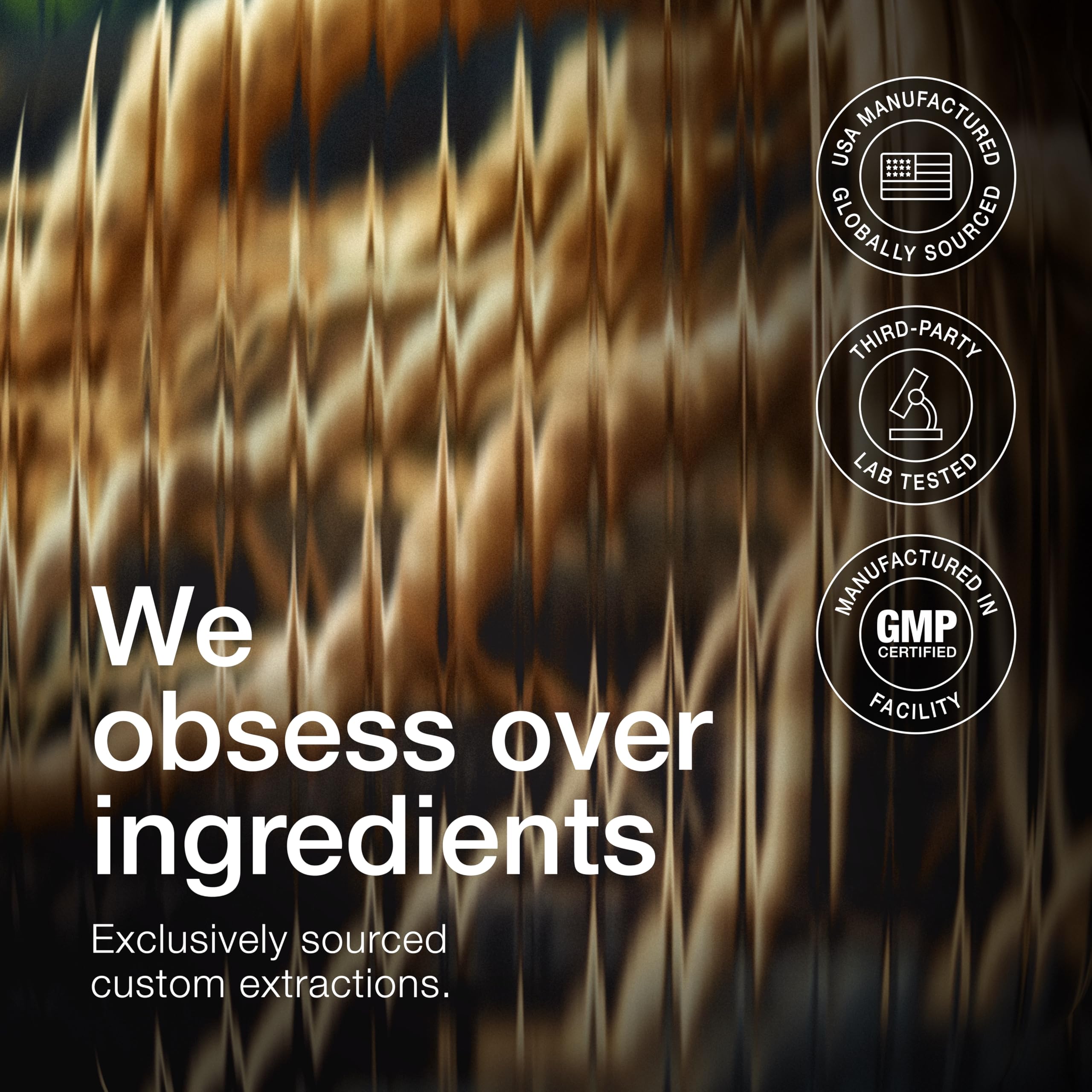 Toniiq Ashwagandha India wild-harvest scene signaling natural origin