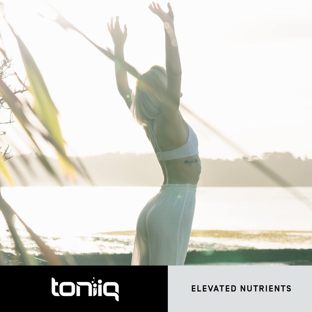 Toniiq Fisetin 500mg storage-ready bottle on shelf