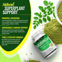 Toplux Moringa Powder green superfood image emphasizes antioxidant-rich leaf powder