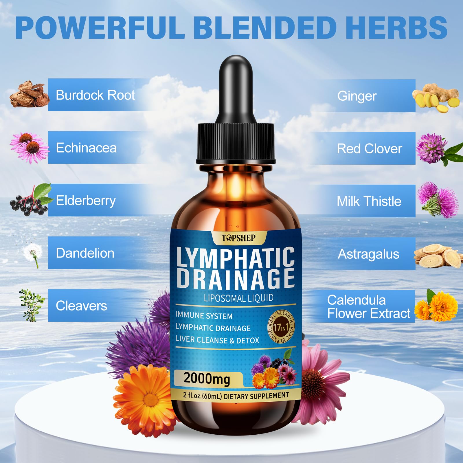 TOPSHEP Milk Thistle and Dandelion liver-cleanse ingredients visual.