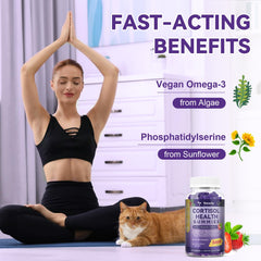 Totaria Cortisol Gummies on desk with tea illustrates a calm, productive break.