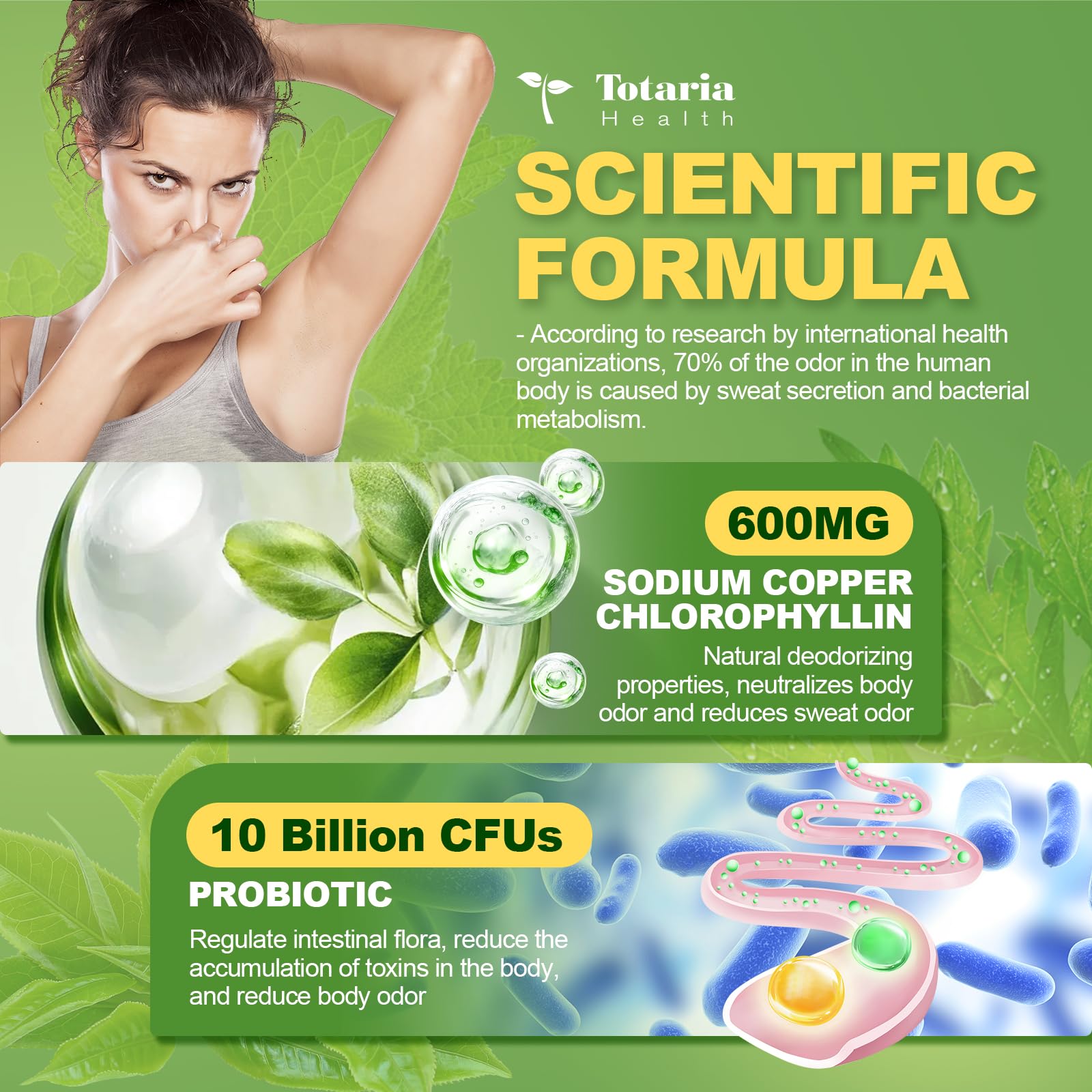 Totaria plant extracts refresh for a clean internal balance.