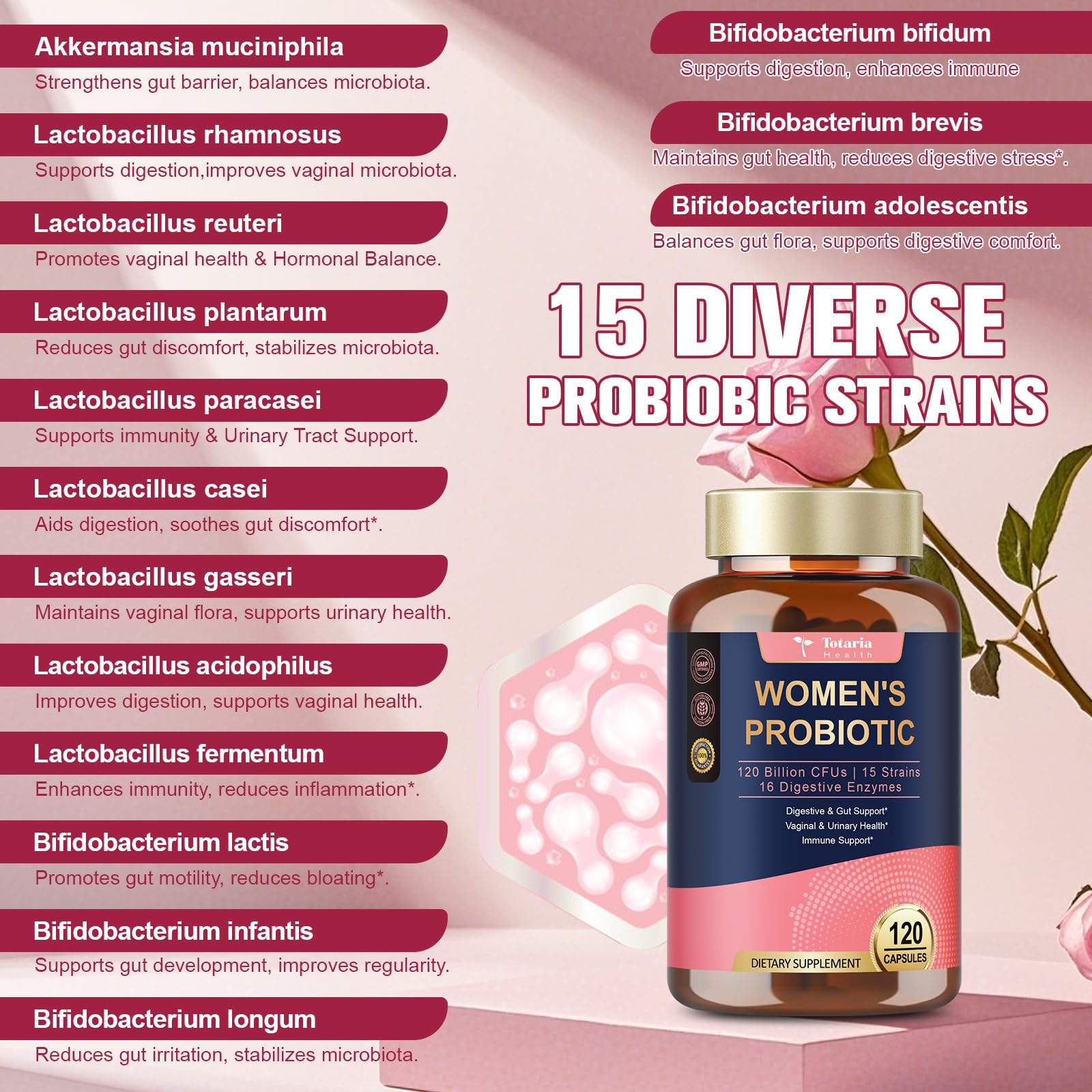 Totaria Probiotics for Women Akkermansia emphasis supports gut lining