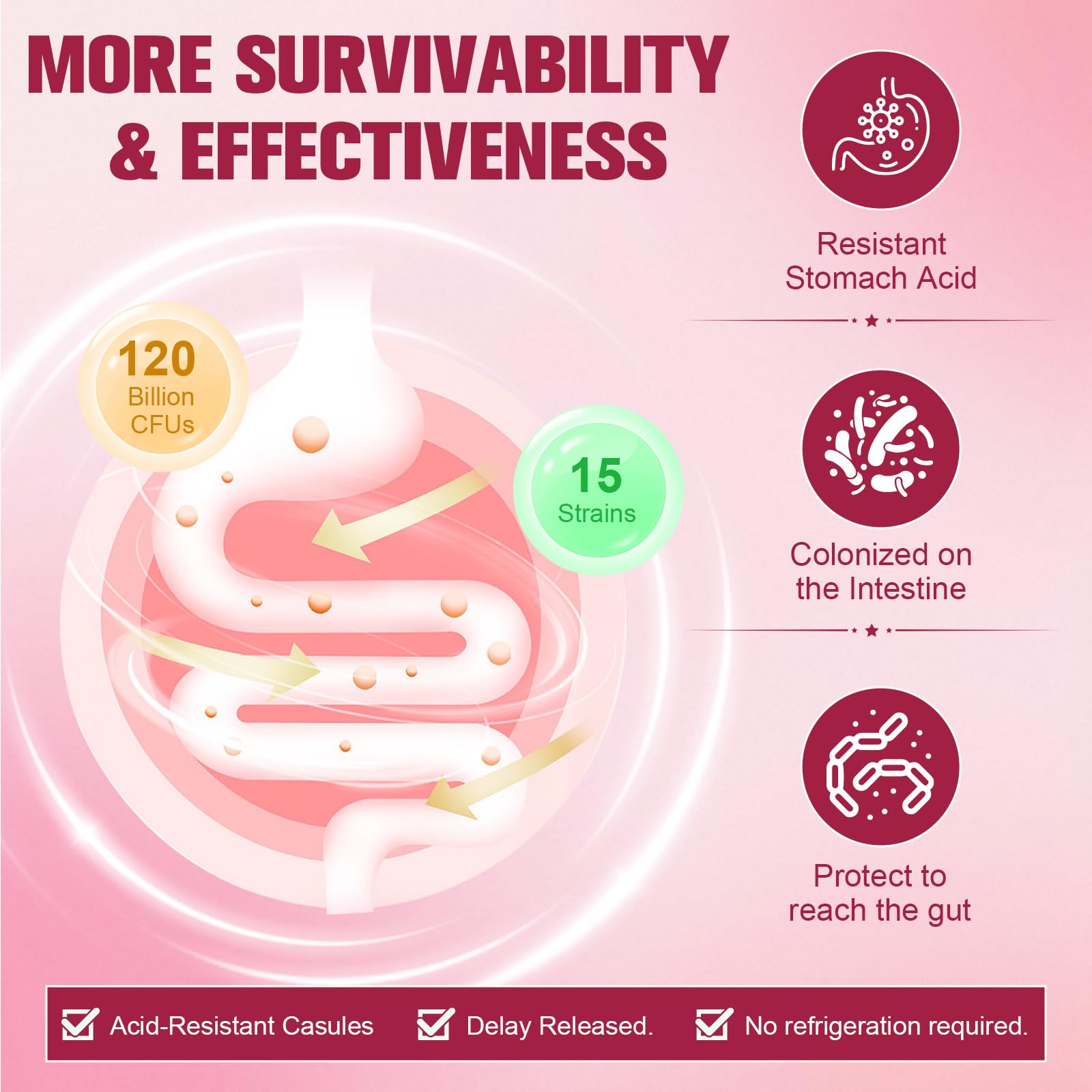 Totaria Probiotics for Women two month supply in bottle