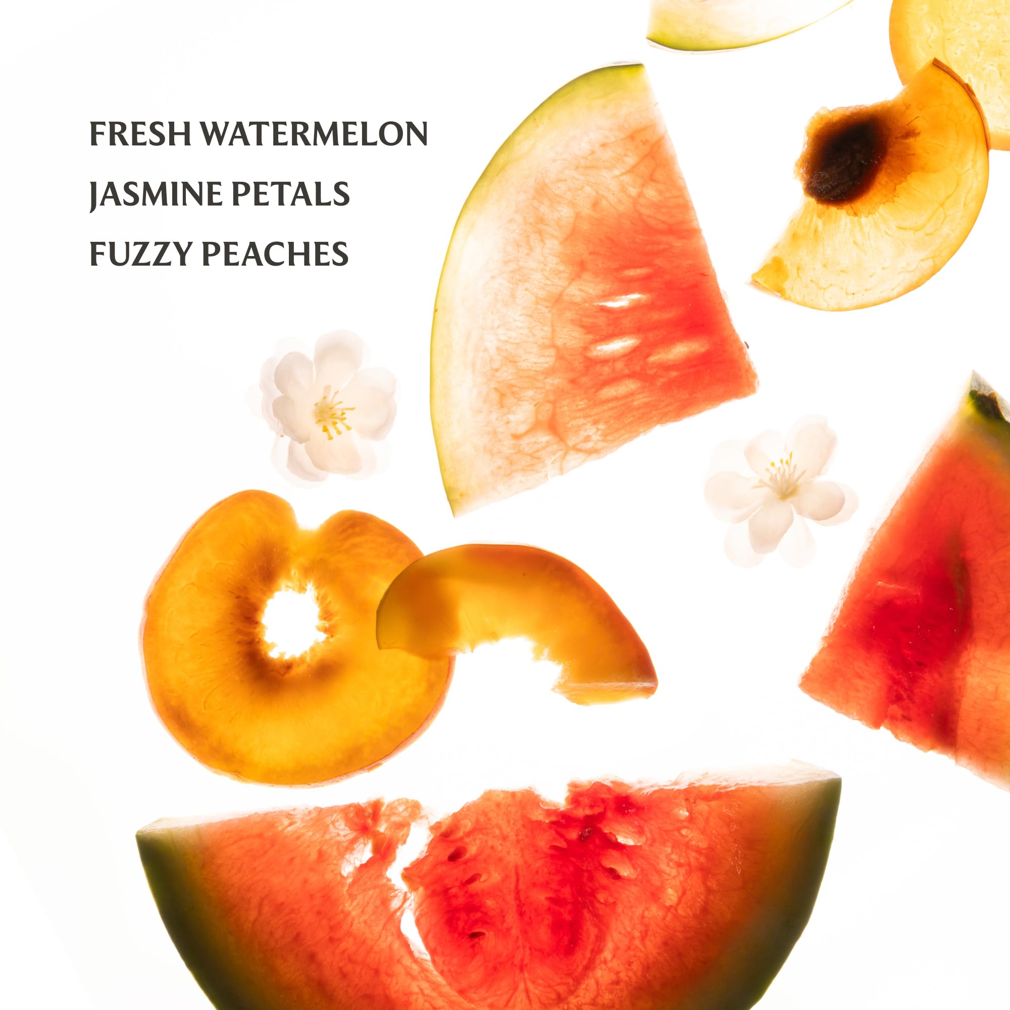 Touchland travel-size set packaging showcasing compact design for easy transport.