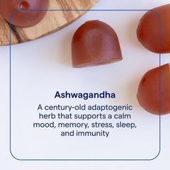 Close-up of Trace Minerals Ashwagandha gummies color and texture for daily wellness