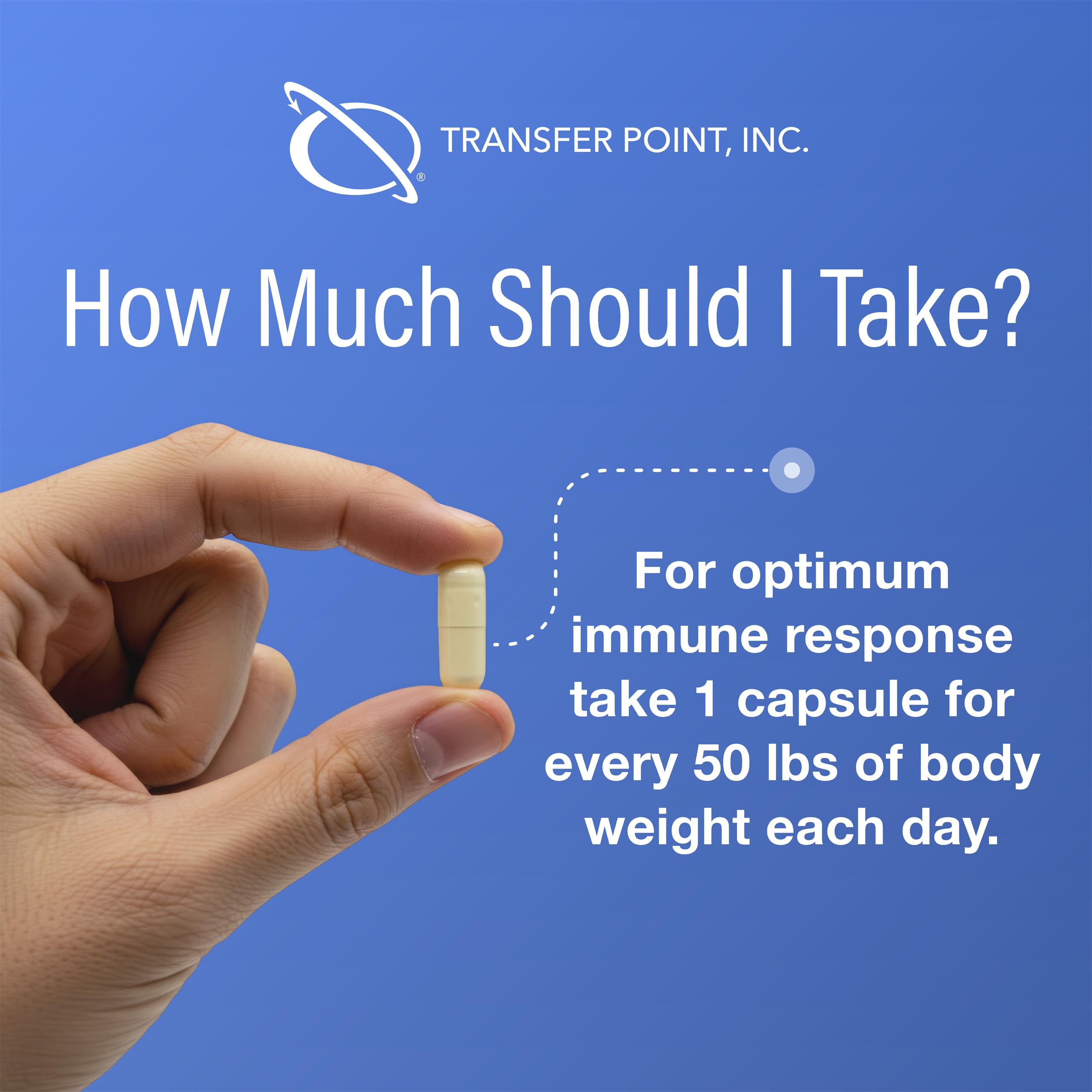 Bottle of Transfer Point capsules shown as a straightforward dietary supplement option.