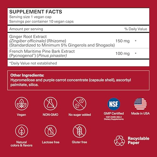 Travelsana Ginger Extract capsules showcase plant-based ingredients for vascular support during travel.